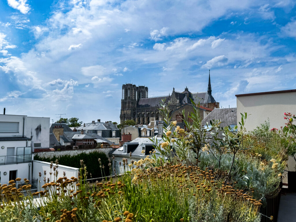 Terrasse fleurie de l'appartement Josepha avec vue sur la cathédrale de Reims
